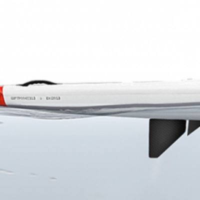 Epic Seegras Abweiser Carbon